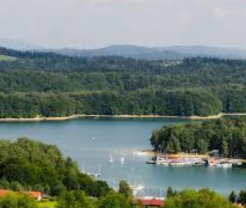 a view of a lake with boats in it at Widoczek in Polańczyk