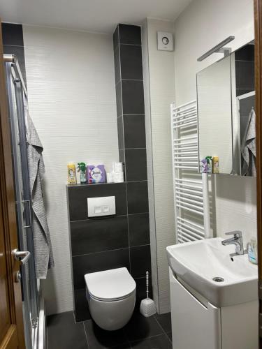 a small bathroom with a toilet and a sink at Lisboa Apartman Bulevar in Sarajevo