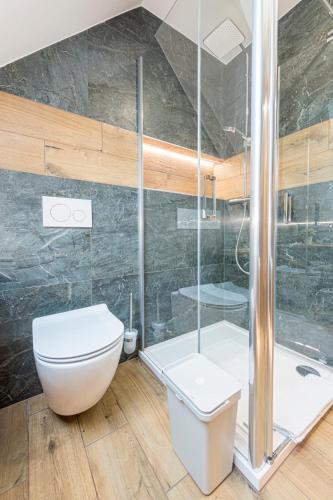 a bathroom with a white toilet and a shower at Hotel Pavlov in Pavlov