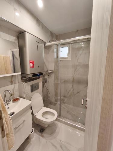 a bathroom with a shower and a toilet and a sink at Nina Lux Studio in Olympiaki Akti
