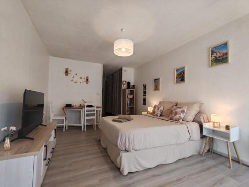 ニームにあるstudio Nimes capouchiné parking et balcon proche centreのベッドと薄型テレビのある寝室