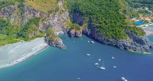 Φυσικό τοπίο κοντά σε αυτό το διαμέρισμα