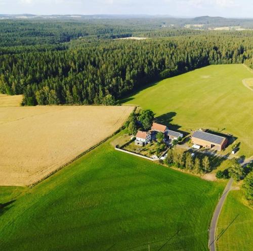 Příroda nedaleko kempu