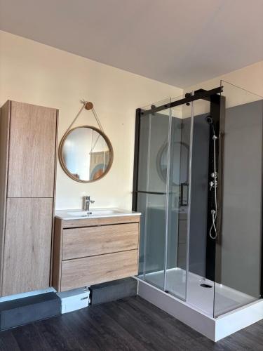 une salle de bain avec une douche, un lavabo et un miroir dans l'établissement Bohème & Chic à 20' de paris, à Savigny-sur-Orge