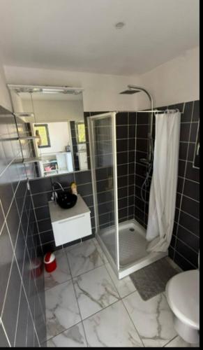 Koupelna v ubytování studio dans villa