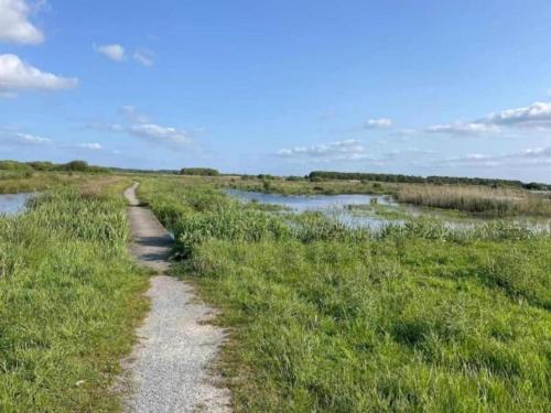 a path through a field with water and grass at Docklodge at Frisian Lakes with Private Mooring in Delfstrahuizen