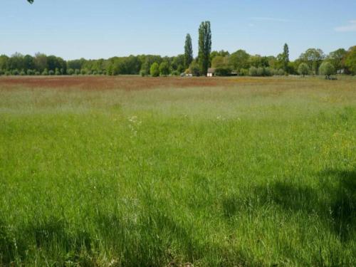 a field of green grass with trees in the background at Stylish Stay in Vorden Woods in Vorden