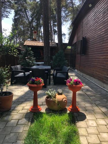 Gambar di galeri bagi Inchirieri cabana- “Chalet Rustique” di Covasna