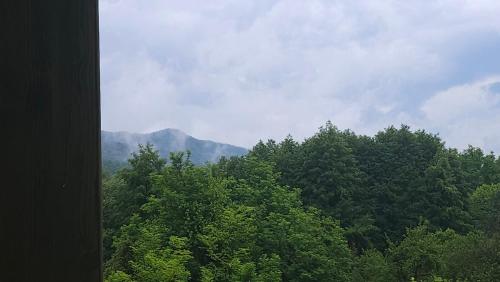a view of trees with a mountain in the background at Căsuțele bucuriei in Pucioasa