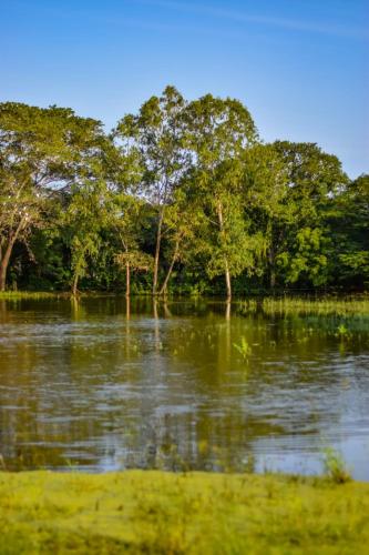a body of water with trees in the background at Galloping Adventures in Malindi