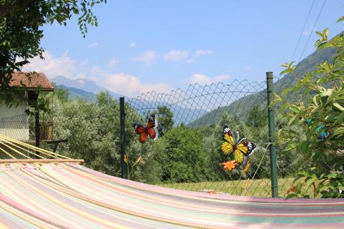 two butterflies on a chain link fence with a hammock at La Ghita in Sparone