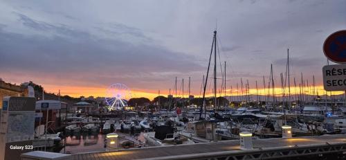 Séjour face au Vieil Antibes avec parking photo 9