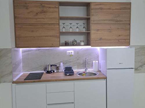 a kitchen with a sink and a refrigerator at Apartment Leo in Petrovec