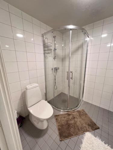 Bagno di Appartment