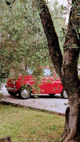 Fotografie z fotogalerie ubytování Charming Lake Garda Escape v destinaci Torri del Benaco