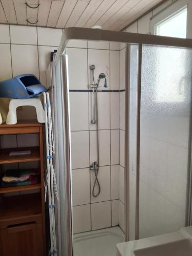 eine Dusche in einem Badezimmer mit einer Glastür in der Unterkunft Noirmoutier house 6 to 8 people in Noirmoutier-en-l'lle