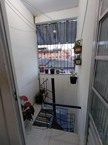a stairway with potted plants and a window at Ap COP 30 NA AUGUSTO MONTENEGRO in Belém