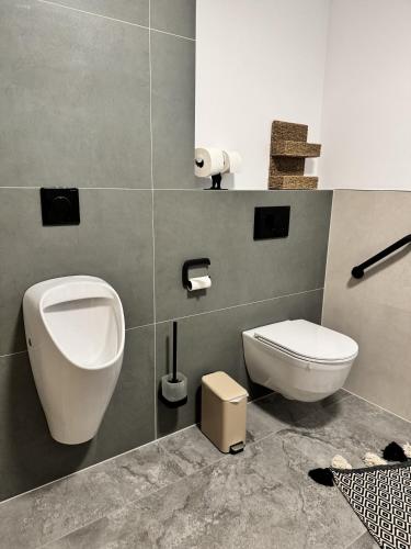 a bathroom with a toilet and a sink at Atelier 1925 in Mils bei Imst