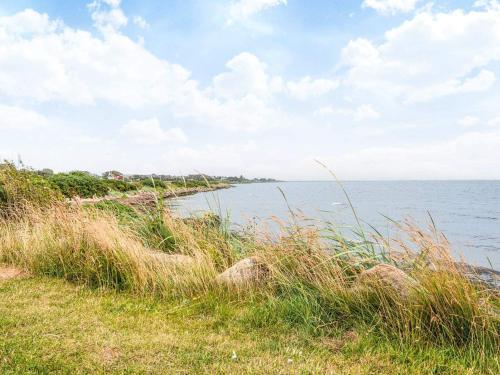 a field of tall grass next to a body of water at 2-room apartment in Denmark in Ringkøbing