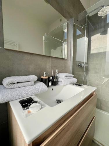 a bathroom with a white sink and a mirror at Bruxnord BnB in Brussels