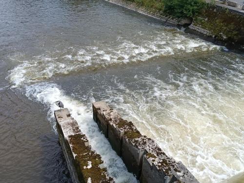 Vista de un río cerca de este departamento