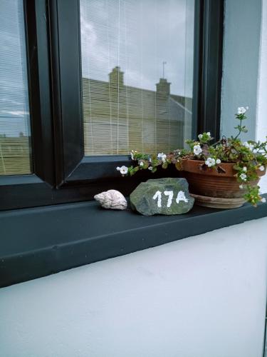 Fotografie z fotogalerie ubytování Cosy Coastal Escape with Seaview Terrace v destinaci Donaghadee