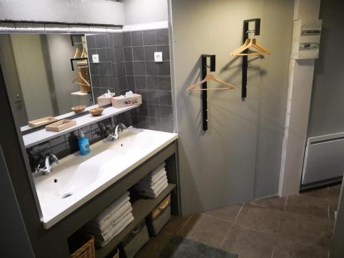 un bagno con lavandino e specchio di Gîte dans une écurie rénovée avec jardin privé, clim, parking et WIFI - FR-1-510-150 a Flines-lès-Mortagne