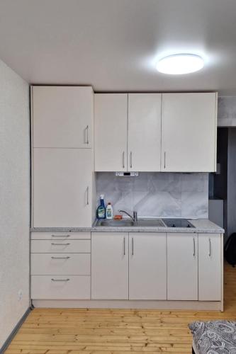 Cuina o zona de cuina de Cozy studio apartment