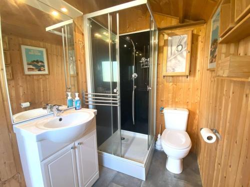 a bathroom with a shower and a sink and a toilet at Maison avec jardin clos et WIFI à Trégastel - FR-1-368-465 in Trégastel