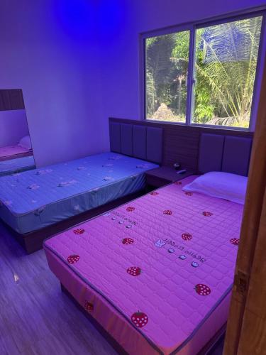 deux lits dans une chambre avec deux fenêtres dans l'établissement Farm small courtyard, à Sampong