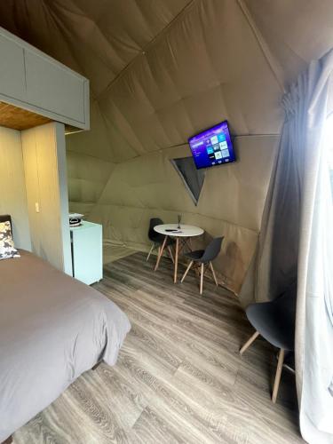 ein Schlafzimmer mit einem Bett und einem TV in einem Zelt in der Unterkunft Glamping Domo 7 Tazas con Tinaja in Molina