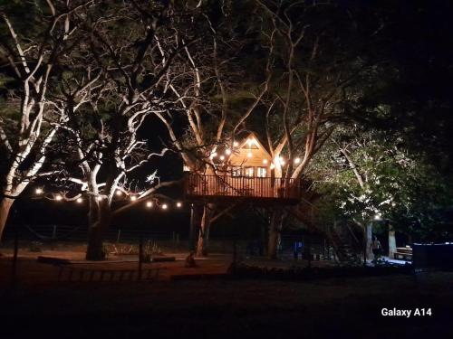 a tree house in the middle of some trees at night at Casa na arvore Dream tree house in Santa Clara dʼOeste