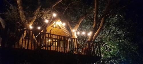 a tree house with lights on it at night at Casa na arvore Dream tree house in Santa Clara dʼOeste