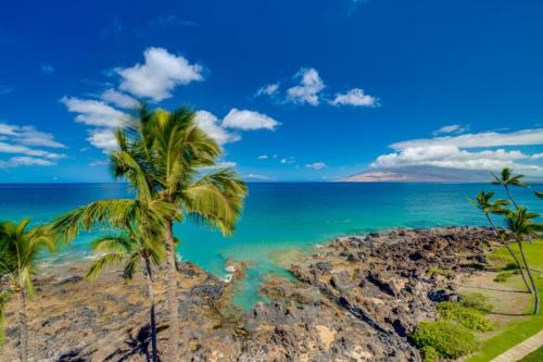 a palm tree and the ocean on a rocky beach at KIHEI SURFSIDE, #501 condo in Wailea