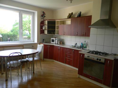 Kuchyň nebo kuchyňský kout v ubytování Vila Uosis