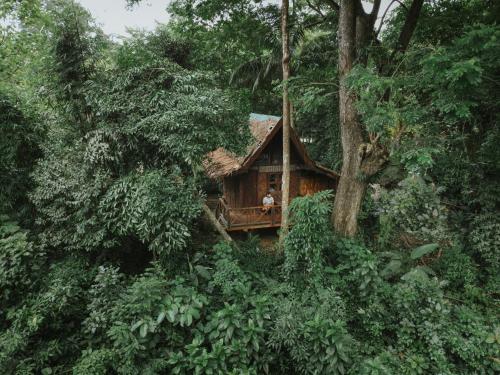 a tree house in the middle of a forest at Our Jungle House in Khao Sok