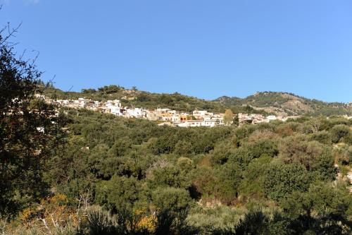 Φυσικό τοπίο κοντά σε αυτό το διαμέρισμα