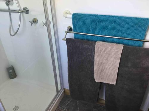 a bathroom with a shower and a towel at Cabin in the Tasmanian Bush - Tranquility! in Pipers River