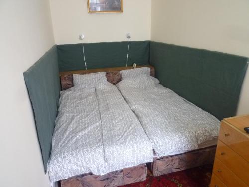 1 cama con cabecero verde y 2 almohadas en Retro Apartment, en Budapest