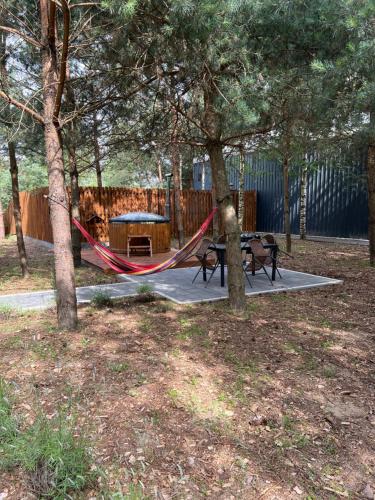 Κήπος έξω από το Sosnowe Zacisze w Czapiewicach