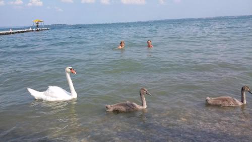 Otel yakınında doğal manzara