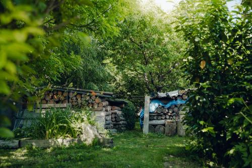 a stack of logs in a yard with a tree at Chalupa na konci cesty 