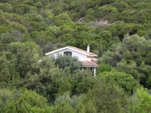 a small white house in the middle of a forest at B&B S'Archiotta in Buggerru