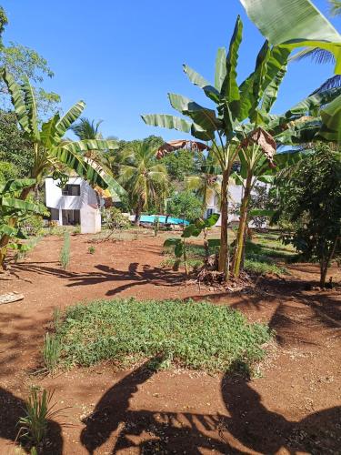 Taman di luar Auberge SAKATI'Art