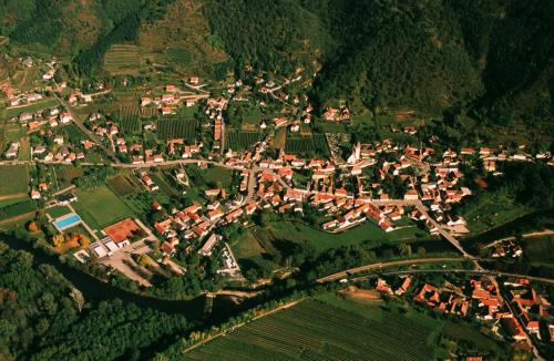 an aerial view of a city with houses and trees at Hotel Zur Schonenburg in Schonberg am Kamp