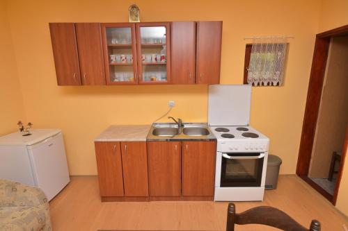 A kitchen or kitchenette at Apartments Biga