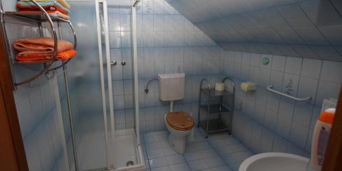 a small bathroom with a toilet and a shower at Rooms & Apartments Jana in Cerklje na Gorenjskem