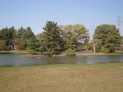 a pond in a park with trees in the background at Minpaku Hiraizumi in Hiraizumi