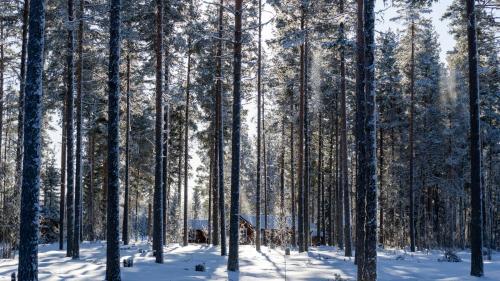 Sunshine Stuga Mörtsjön v zimě