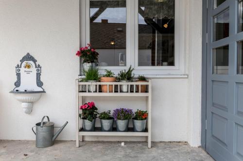 a shelf with potted plants on it next to a door at Ferienhaus Burgenland 2 in Mönchhof